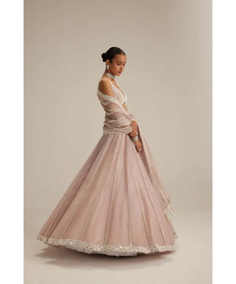 VVANI VATS- Ash Pink Pearl Mirror linear Lehenga with V neck Blouse
